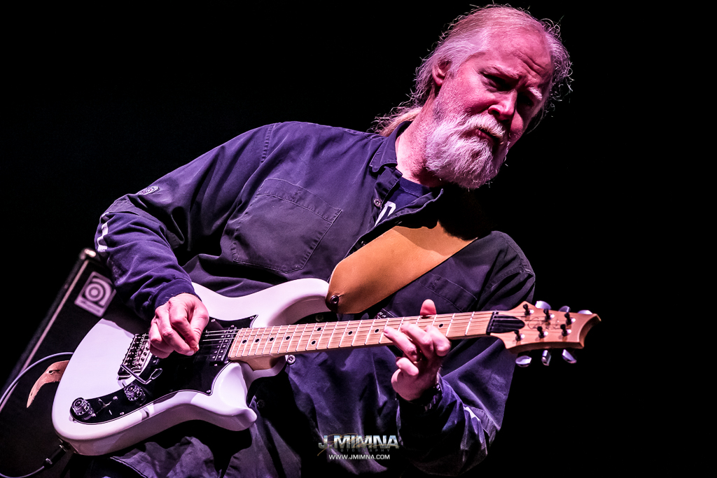 Widespread Panic Coconut Image Monkey Image Widespread Panic Coconut Image Monkey Image