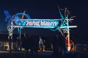 sonic bloom sign entrance (1 of 1)